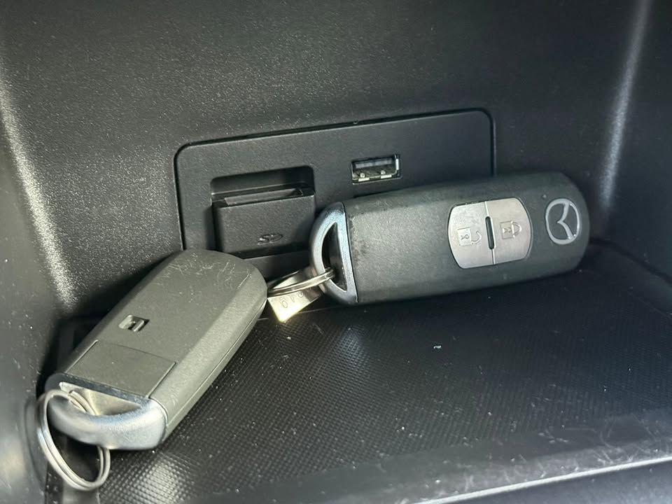 Слика на возило