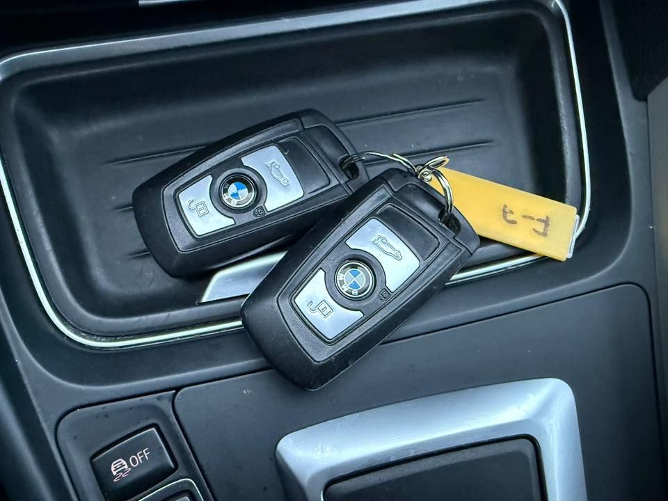 Слика на возило